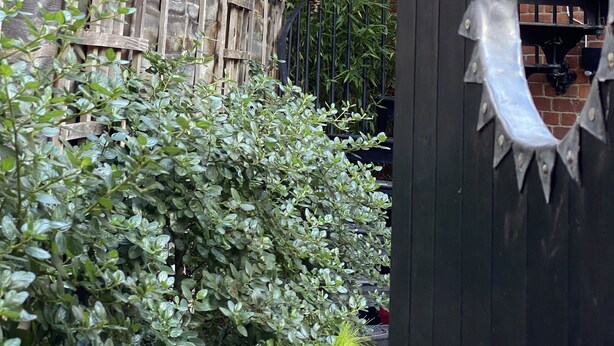 A courtyard with a wooden fence, a wrought iron gate, and hanging planters with flowers. - 19 Station Road (Henley-on-Thames)