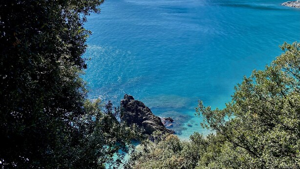 A coastal landscape with clear blue sea, rocky cliffs, and dense green foliage.