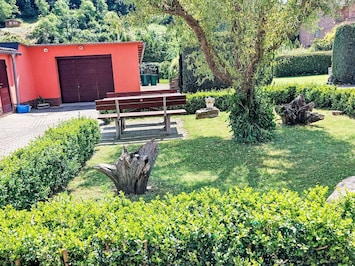 Plant, Property, Outdoor Bench, Natural Landscape, Botany, Tree, Land Lot, Outdoor Furniture, Vegetation, Grass