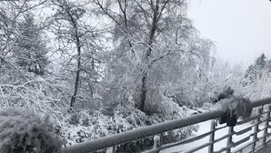 A snow-covered wooden deck with metal railings, surrounded by snow-laden trees. - New holiday apartment / fitter apartment Matthies (Kürten)