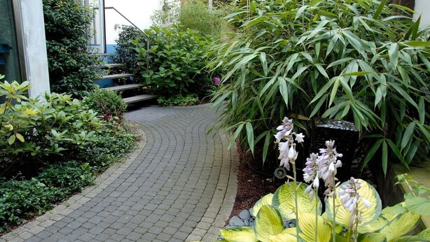 Un sendero curvo de ladrillo que conduce a la entrada de un edificio, rodeado de exuberante follaje y plantas en flor.