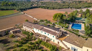 Vue aérienne d’une villa de style méditerranéen dotée d’une piscine, entourée d’oliviers et de palmiers, avec des montagnes en arrière-plan.