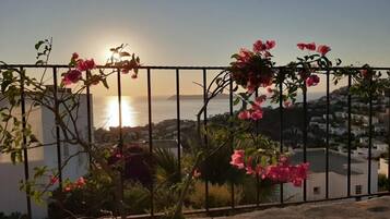 Blick von der Unterkunft