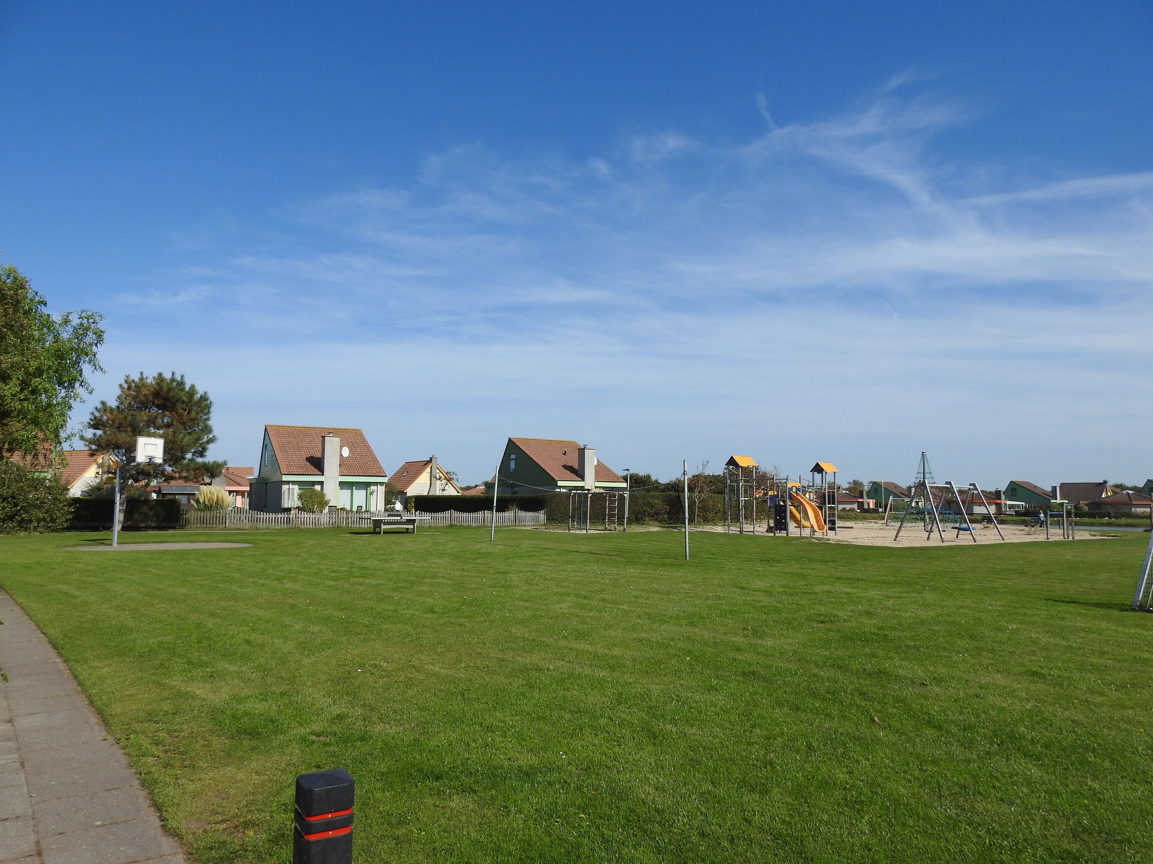 Terrain de sport