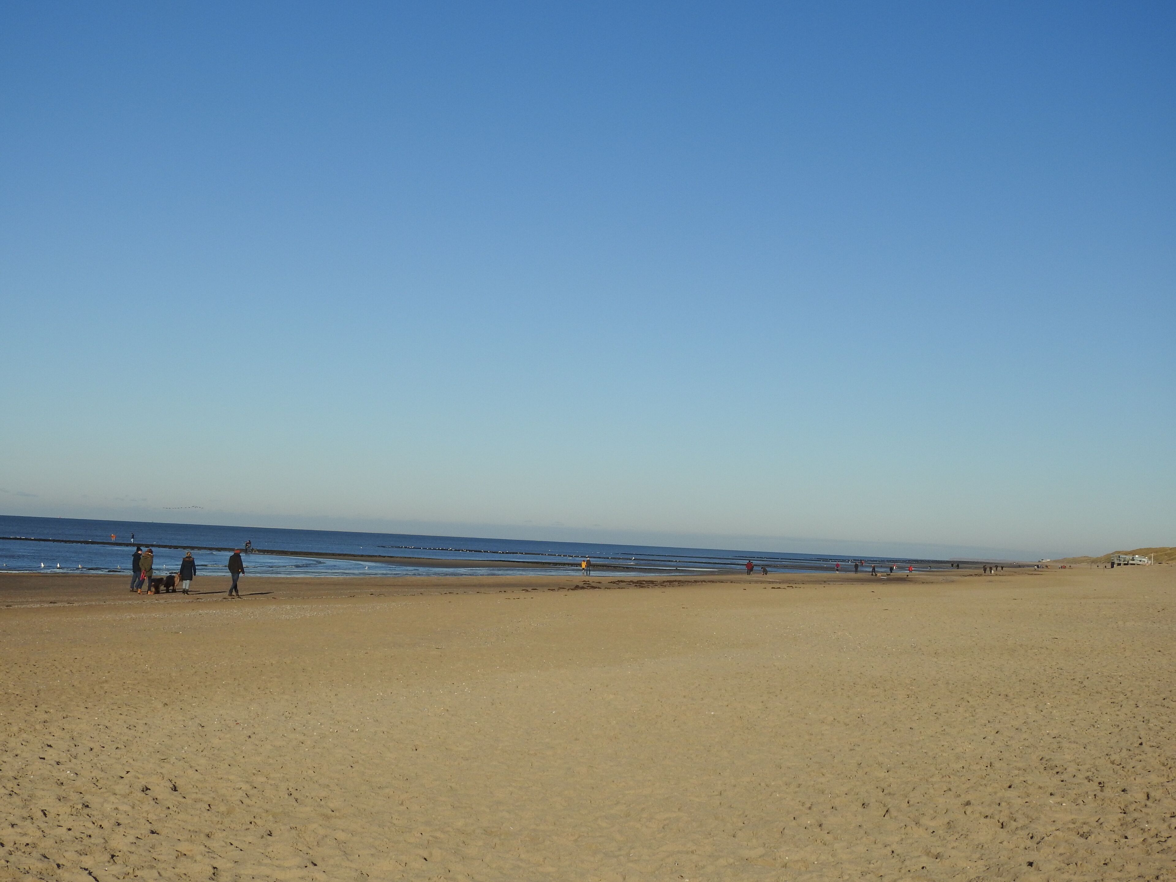 A wide sandy beach with a clear sky.