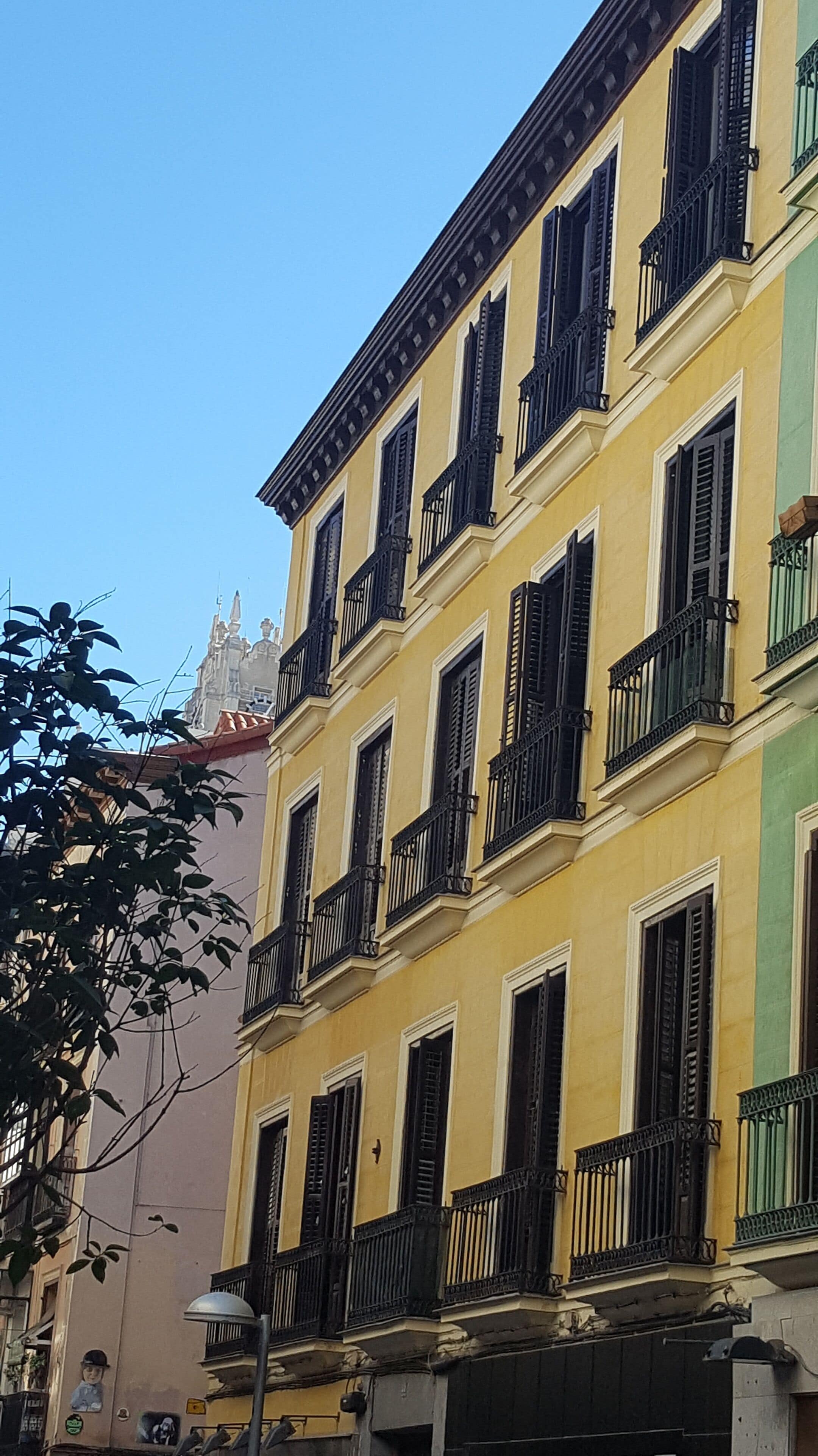 Foto - Le Petit Palü-Fuencarral