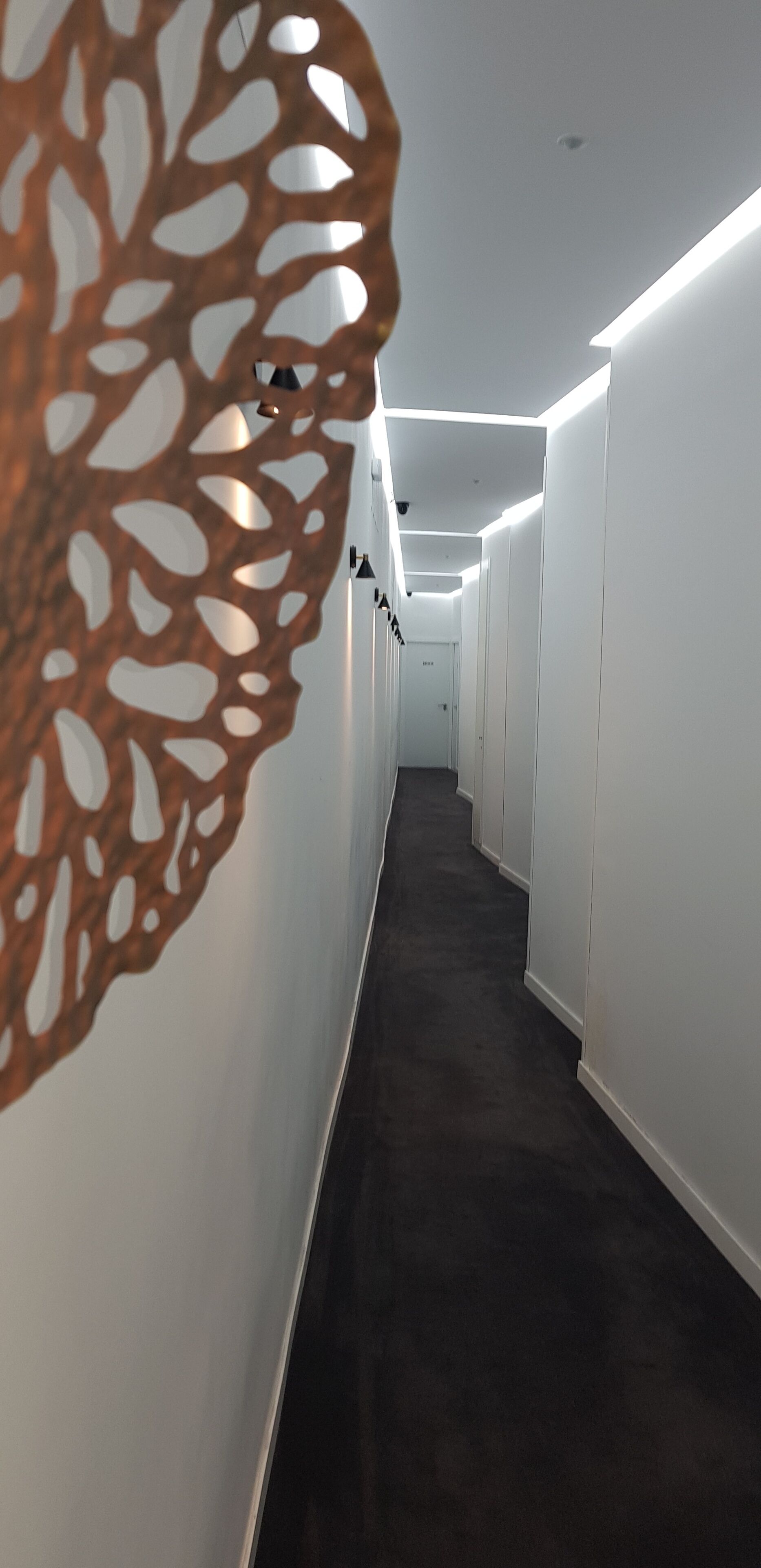 Foto - Le Petit Palü-Fuencarral