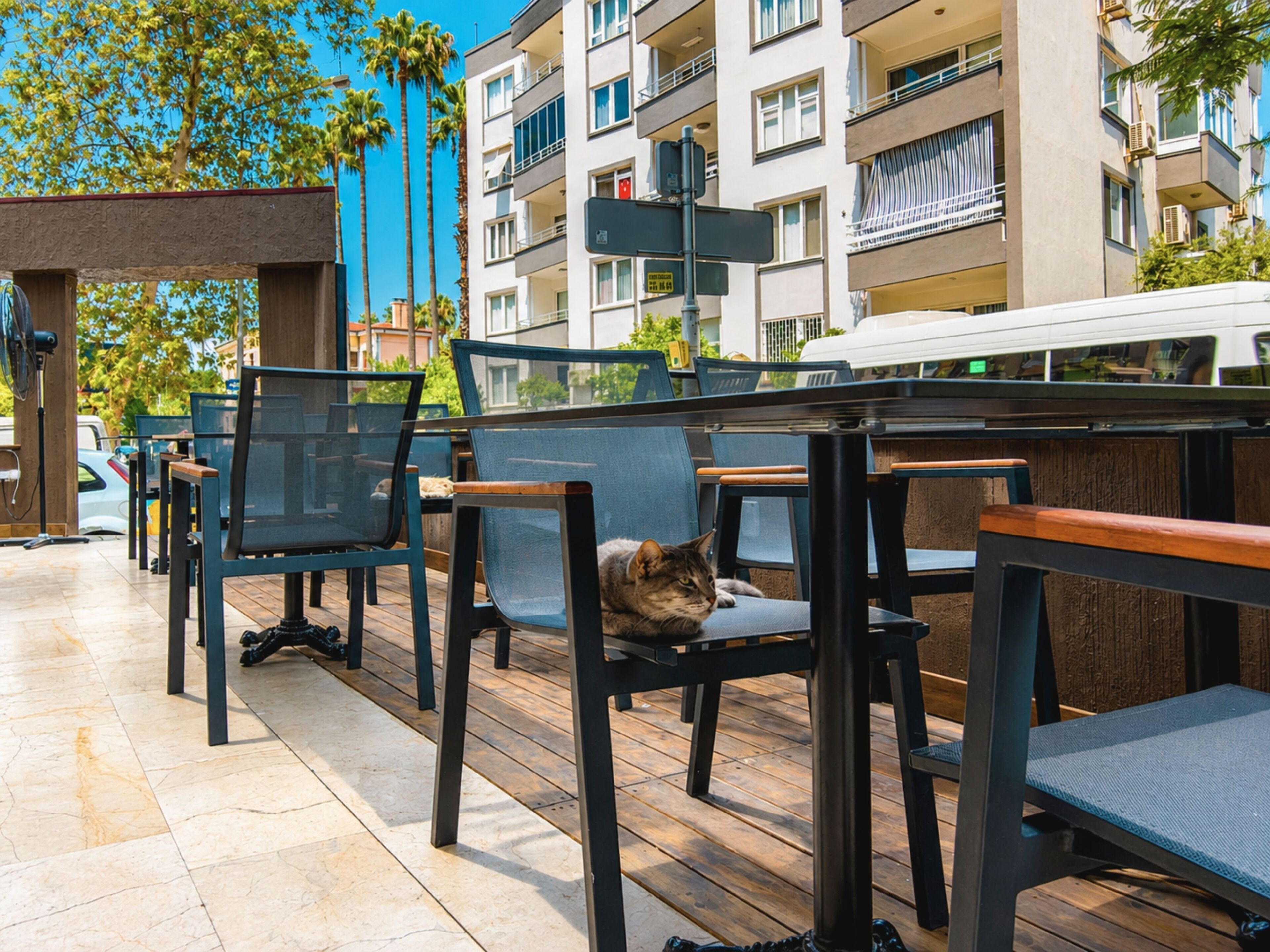 Foto - Güleryüz 2 Hotel