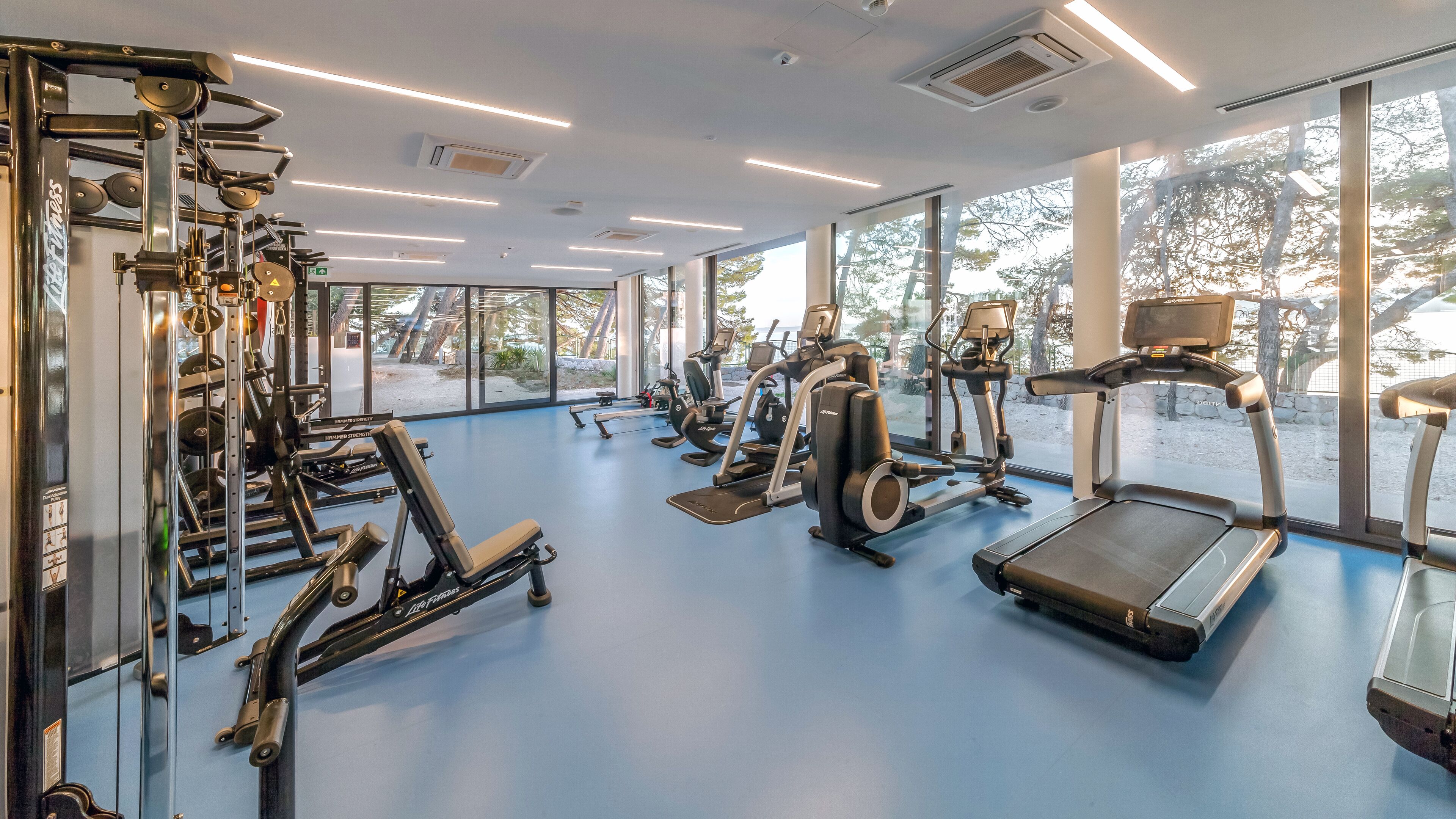 Ein Fitnessstudio mit unterschiedlichen Trainingsgeräten, großen Fenstern und einem blauen Boden.