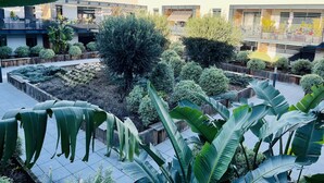 A rooftop garden with various plants and trees, surrounded by modern buildings with balconies. - Les Patios de Saint-Pierre (Palavas-les-Flots)