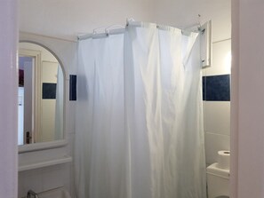 Shower, towels, toilet paper