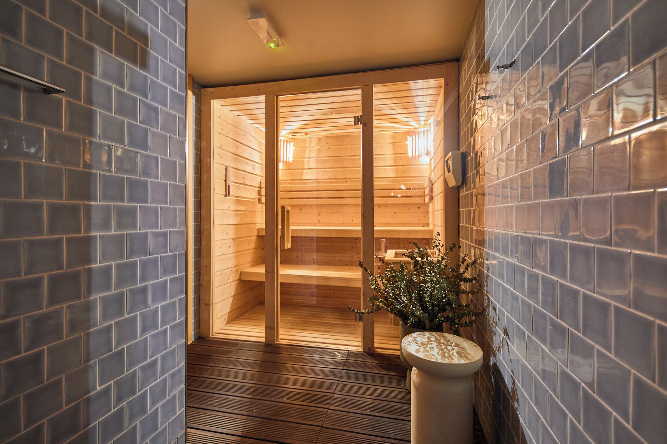 A wooden sauna with glass doors, a potted plant, and a tiled wall.