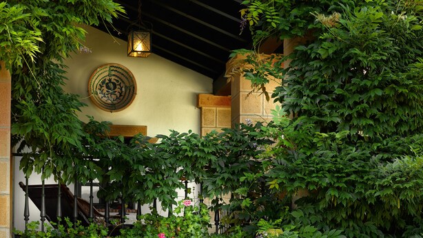 Un patio con abundante vegetación, una pared de azulejos tradicionales y un farol colgante.