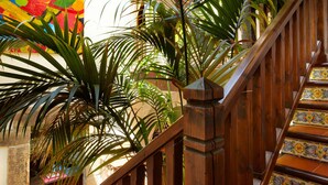 Una escalera de madera con barandilla de azulejos y una planta de palma al frente.