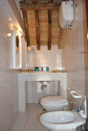 Shower, hair dryer, bidet, towels
