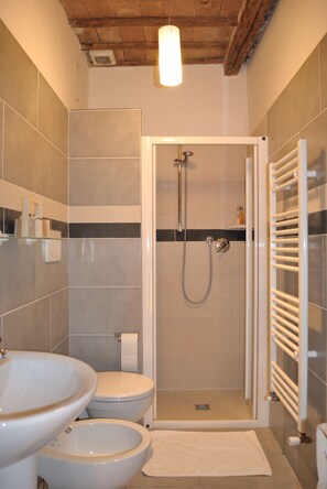 Shower, hair dryer, bidet, towels