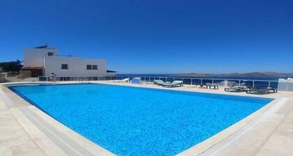 BO083 by Villaofsummer