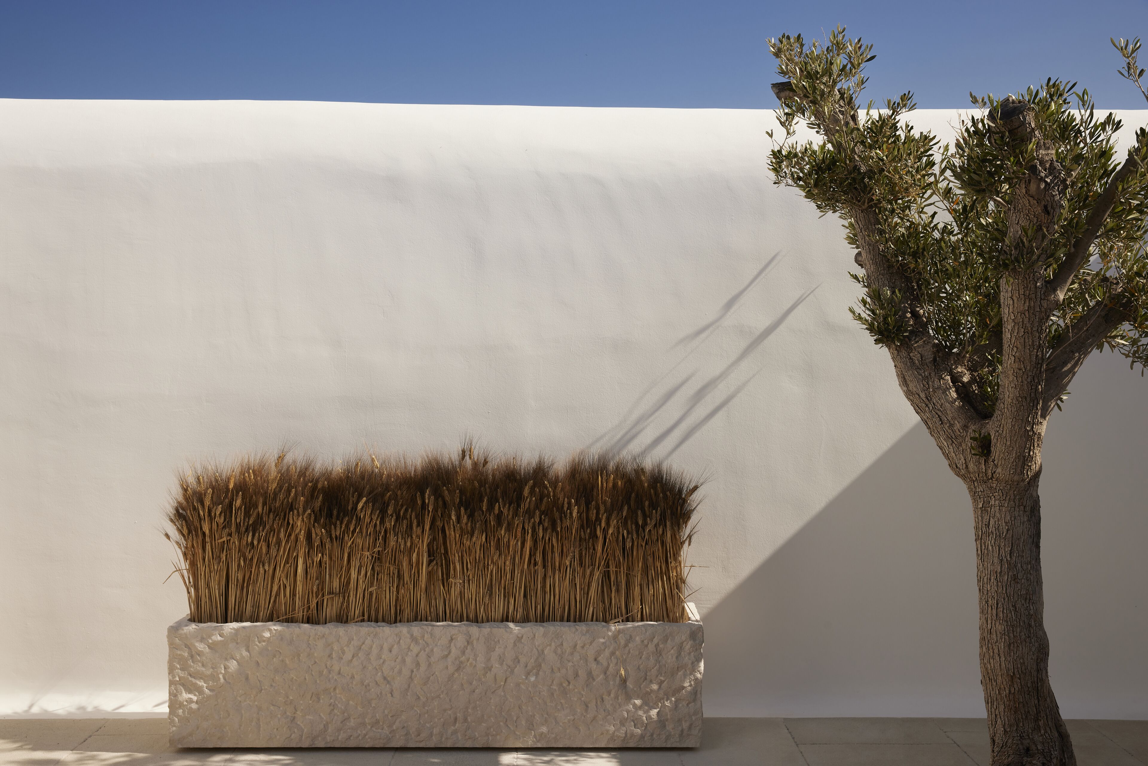 Foto - Kalesma Mykonos