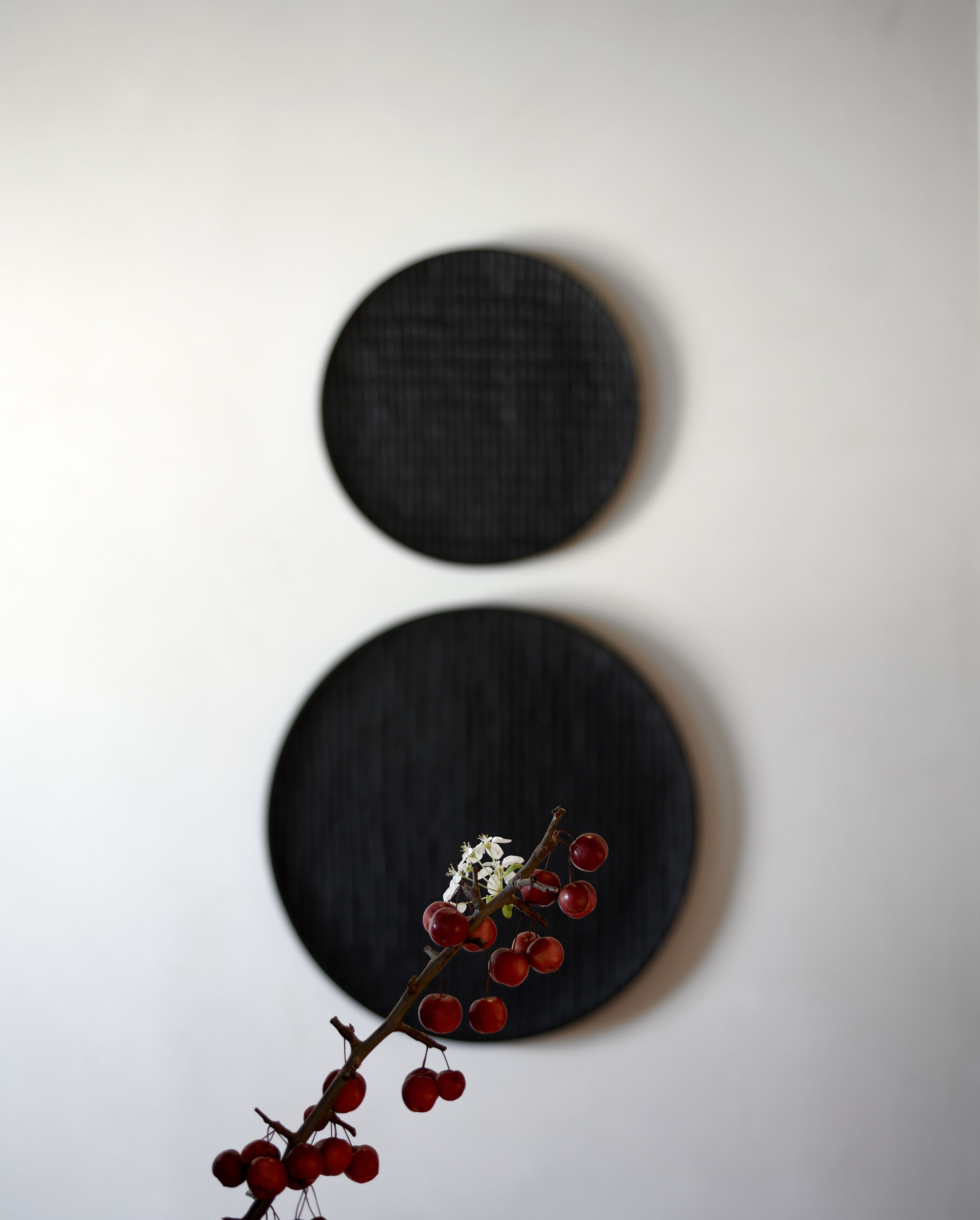 A wall with two circular black panels and a branch with red berries and white flowers.