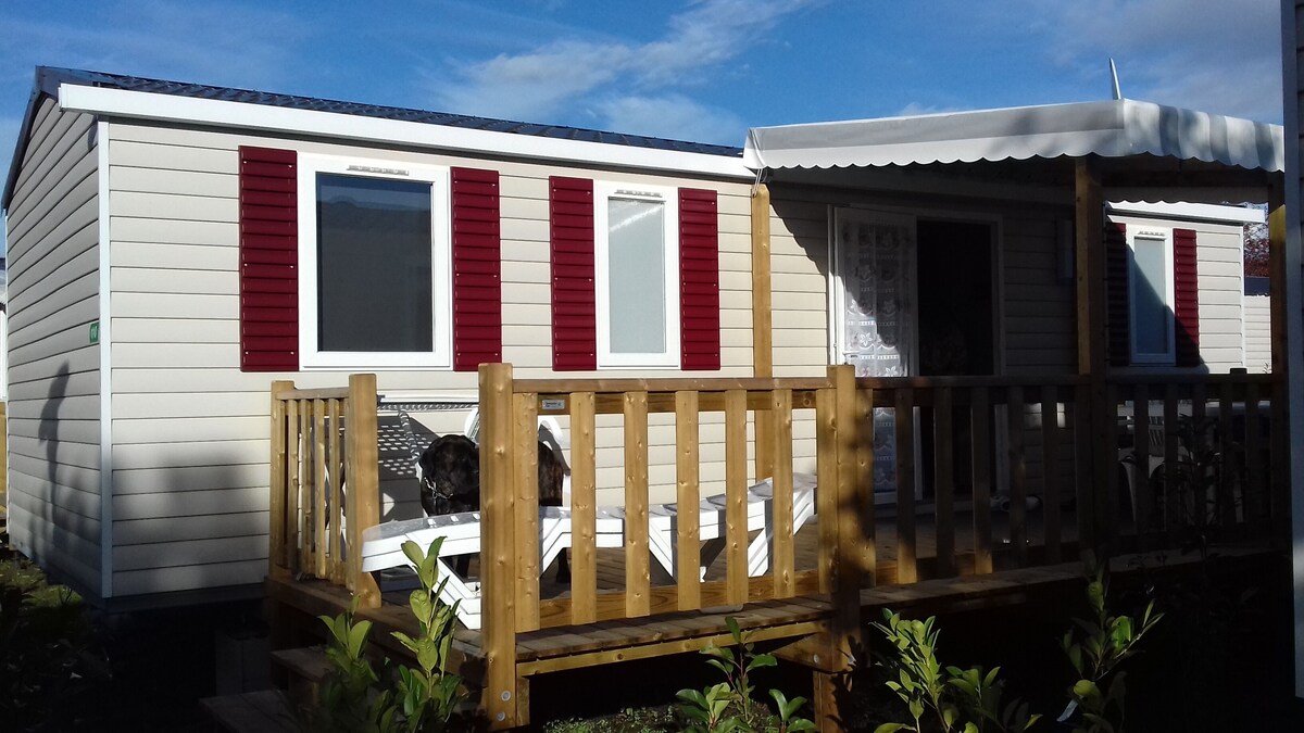 Imagen de perfil del propietario o de la propietaria