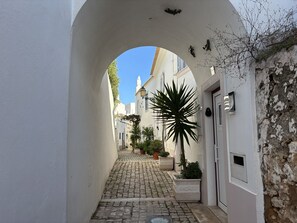 A narrow cobblestone alleyway with white buildings, a stone wall, and a large spiky plant.