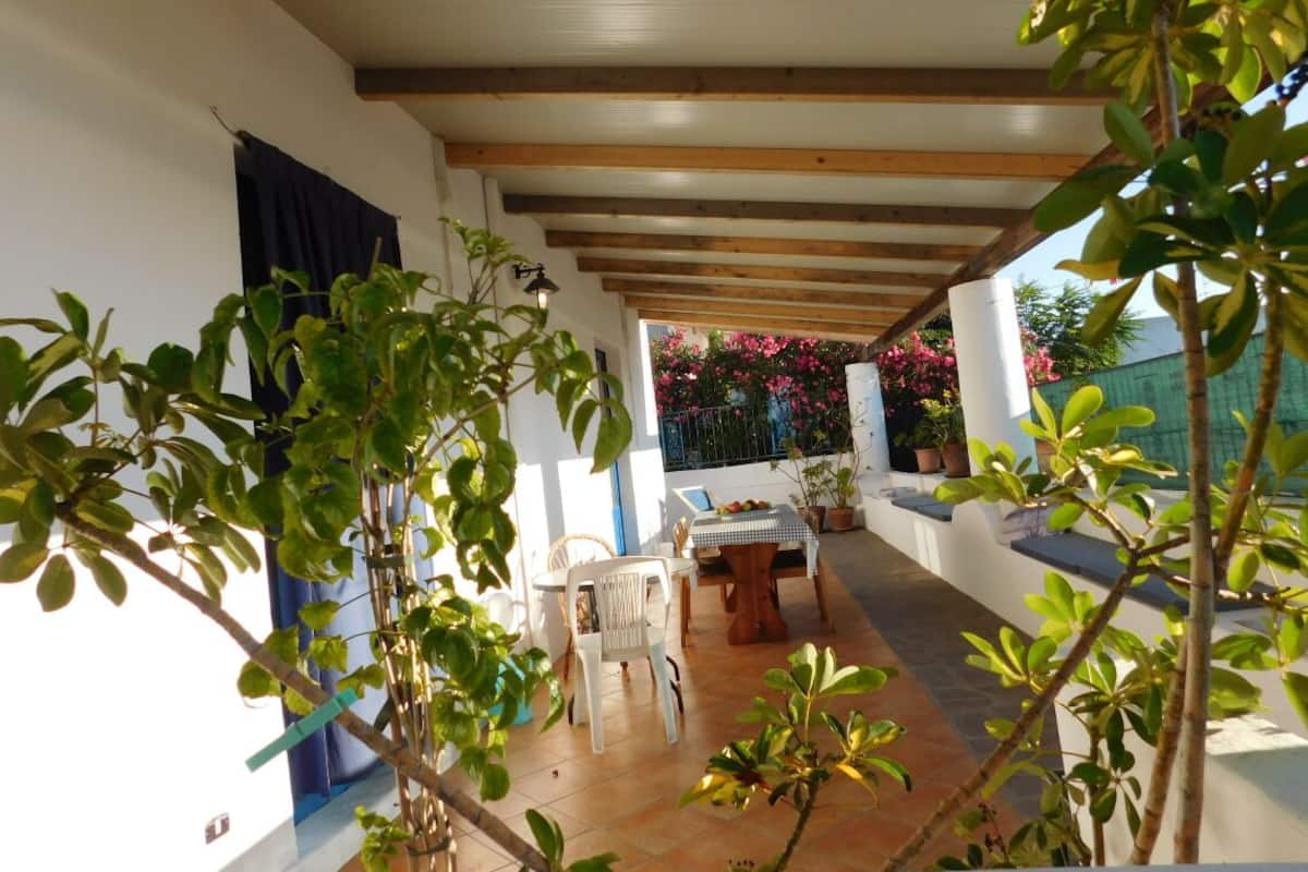 Un espace extérieur aménagé en terrasse, avec un plafond en bois, une table entourée de chaises et des plantes en pot.