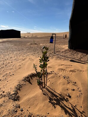 Fassade der Unterkunft