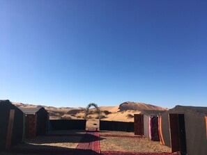 Basic-Zelt, Mehrere Betten (Double) | Ausblick vom Zimmer