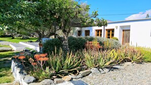 A white building with a garden featuring cacti and a tree. - Villa with Private Pool, Surrounded by Mountains, Olive, Walnut and Orange Trees (Orgiva)