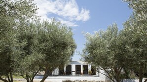 A building with a white facade and multiple doorways, surrounded by olive trees. - Villa with Private Pool, Surrounded by Mountains, Olive, Walnut and Orange Trees (Orgiva)