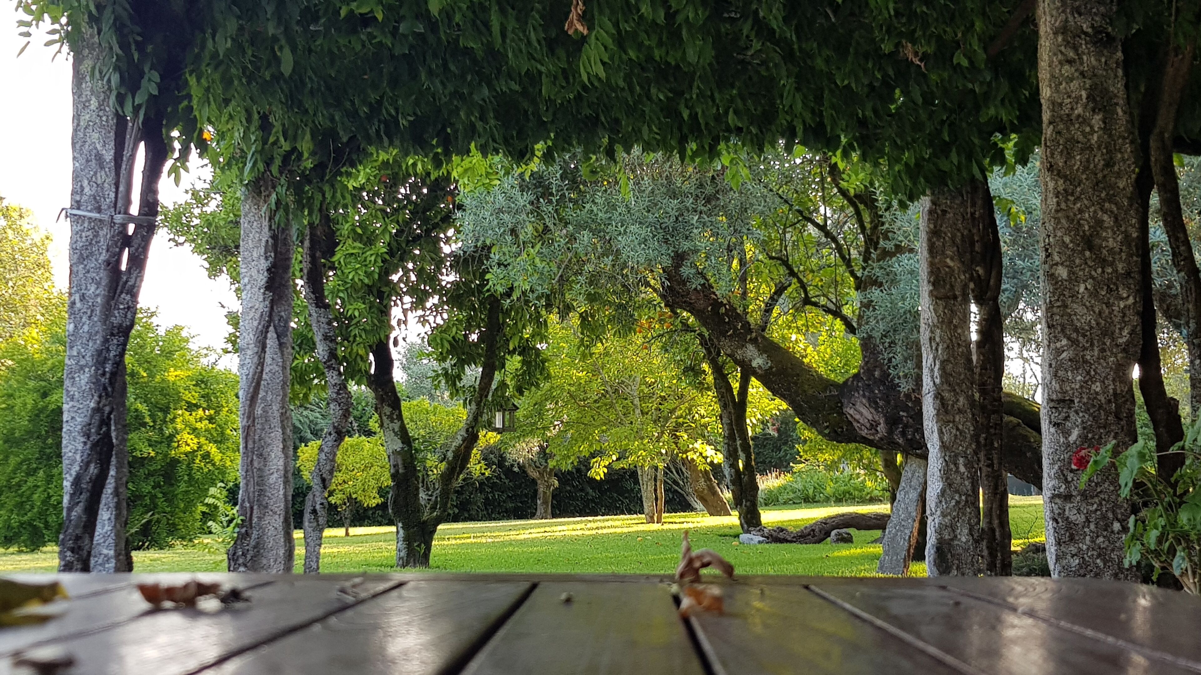 Parco della struttura