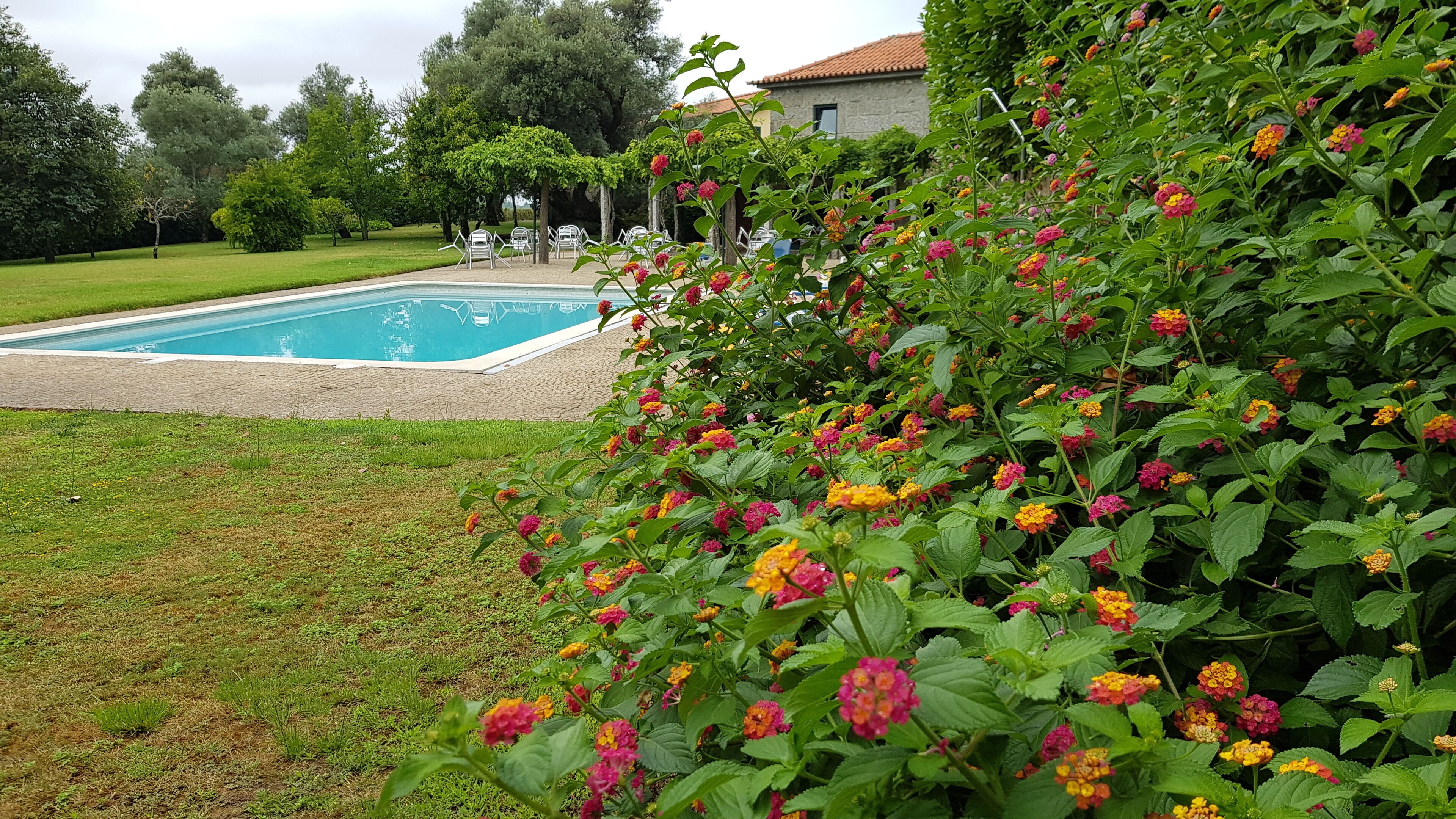 Udendørs pool