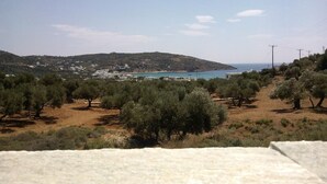 A coastal landscape with olive trees, a distant view of the sea, and a hilly backdrop. - Evdokia Studios (Sifnos)