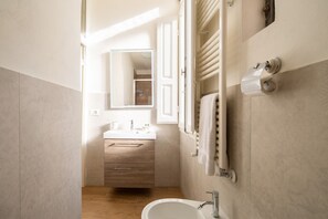 Shower, hair dryer, bidet, towels