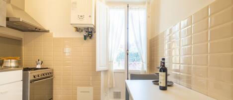 Fridge, oven, stovetop