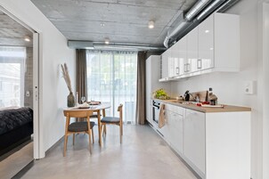 Fridge, oven, stovetop, electric kettle