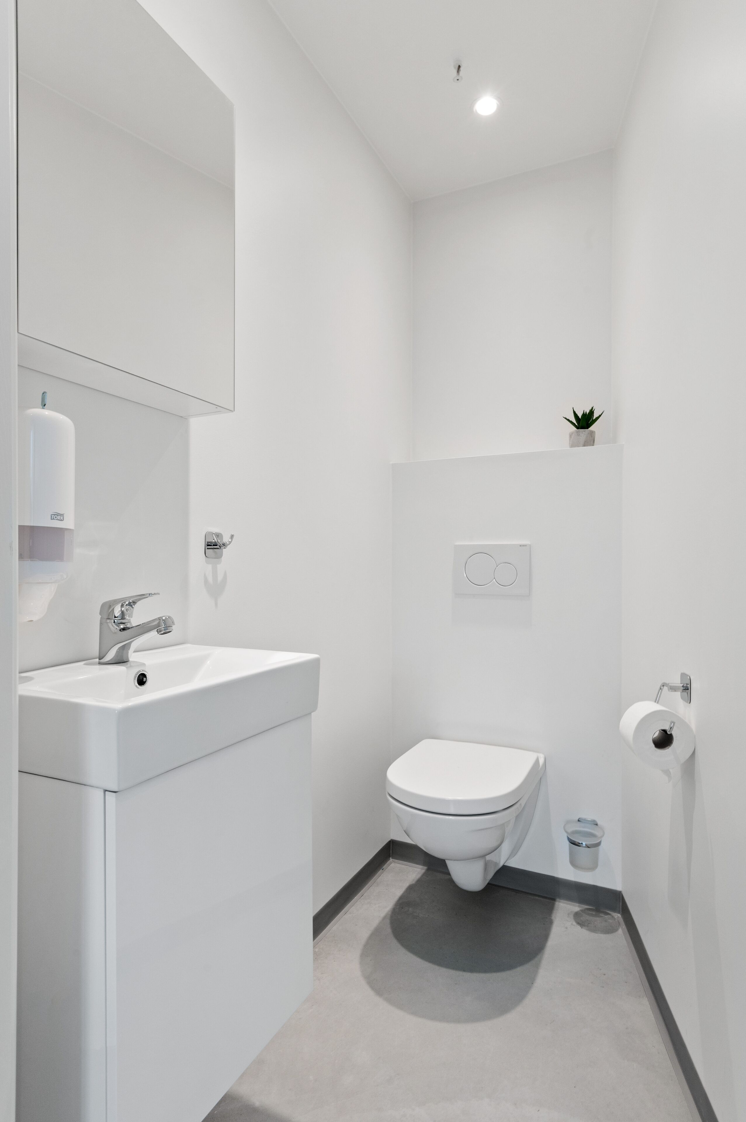 A modern bathroom with a white sink, toilet, and a small potted plant on the wall.