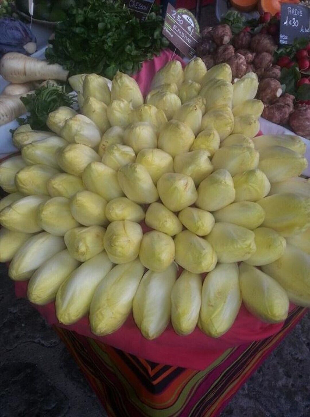 A display of yellow squash at a market stall.