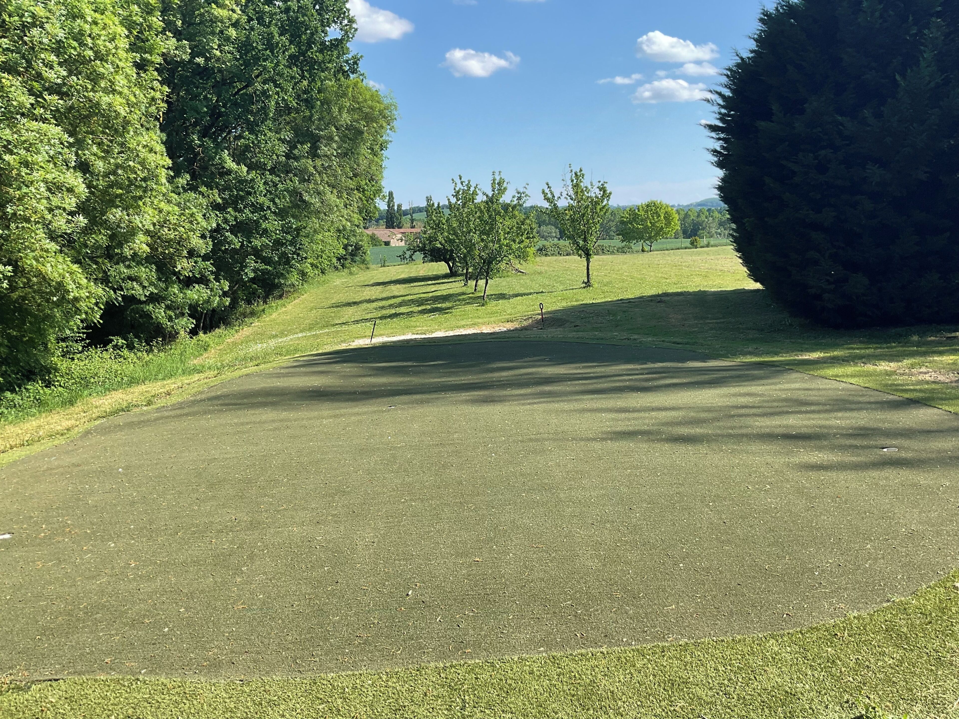 Een golfbaan met een verzorgd fairway, bomen en een heldere lucht.