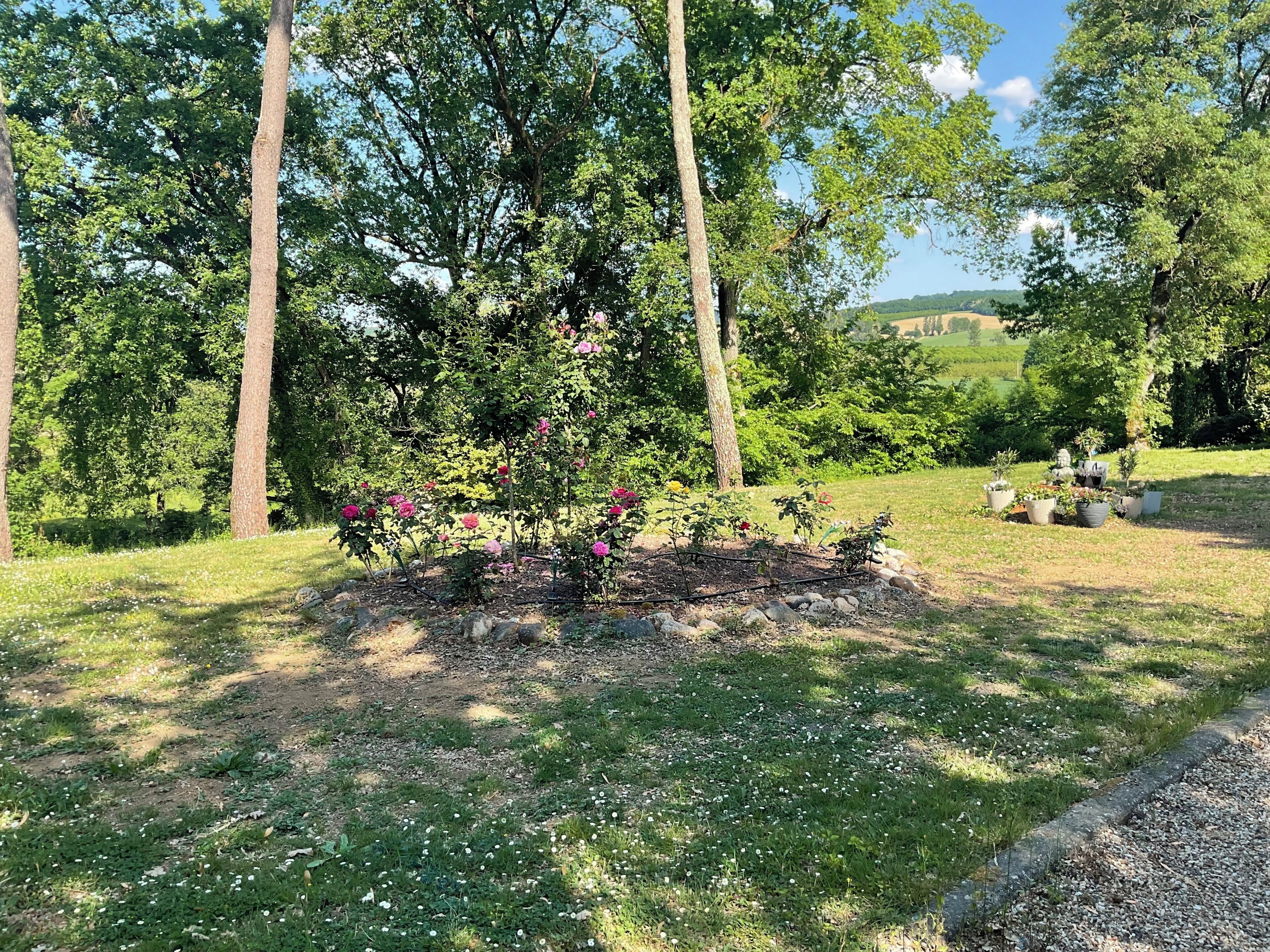 A garden with a flower bed, trees, and a grassy area.