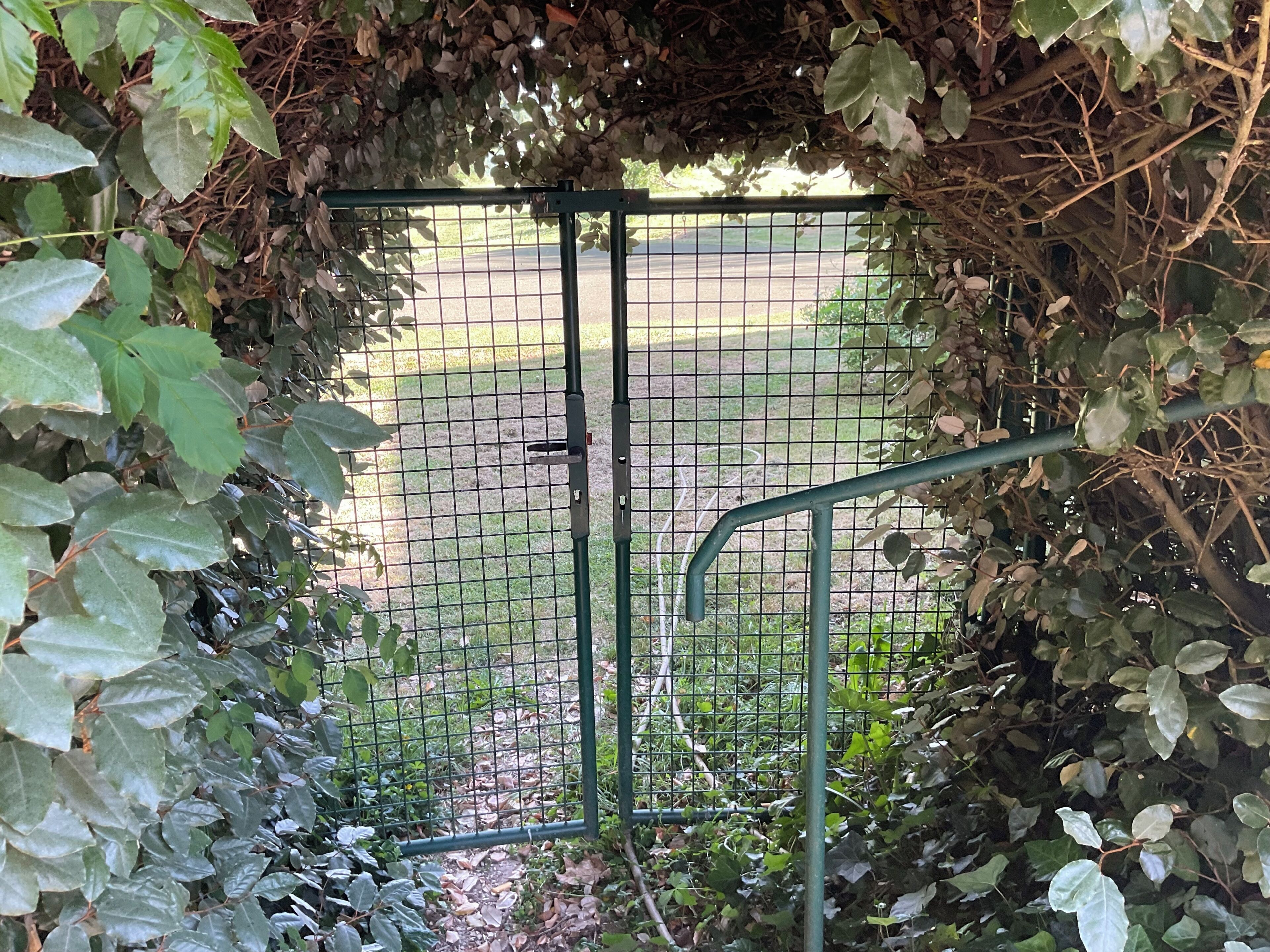 A metal gate partially covered by ivy.
