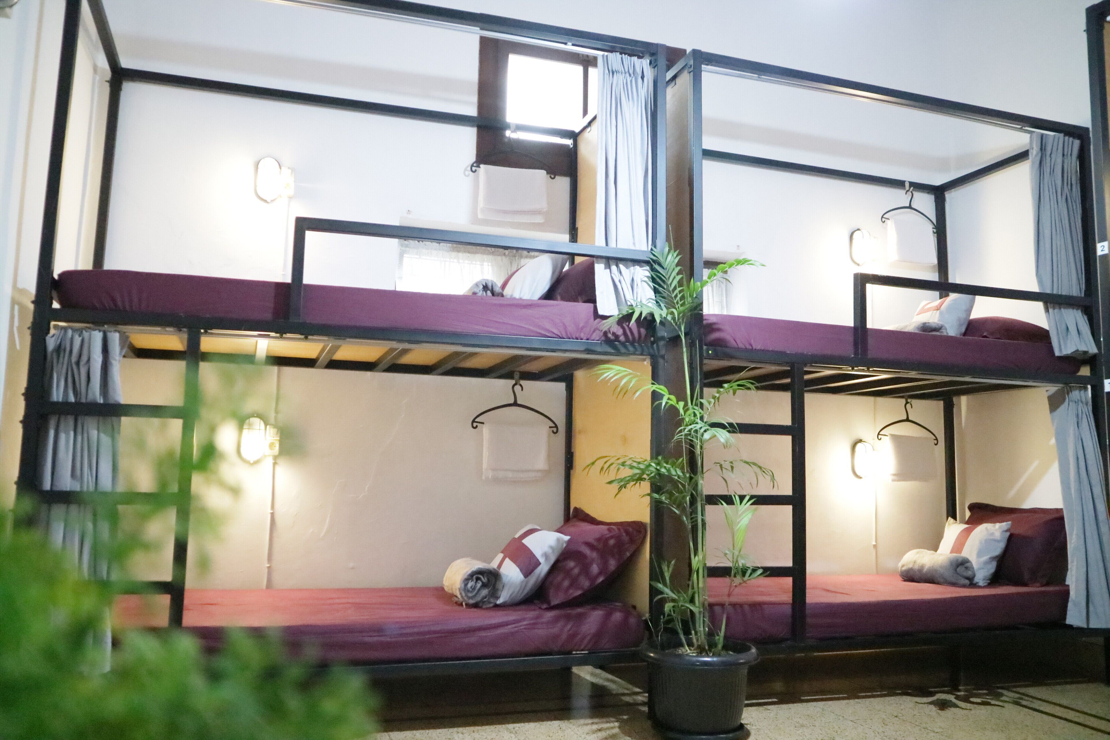 Une chambre avec un lit superposé, deux lits, une plante en pot et des lampes de chevet.