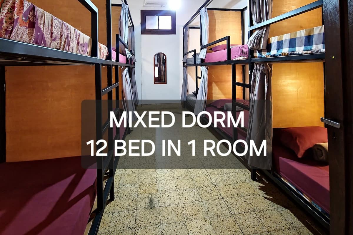 Economy Room, Mixed Dorm, Non Smoking, Shared Bathroom