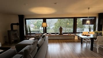 TV connectée, cheminée, jeux vidéo, lecteur de DVD