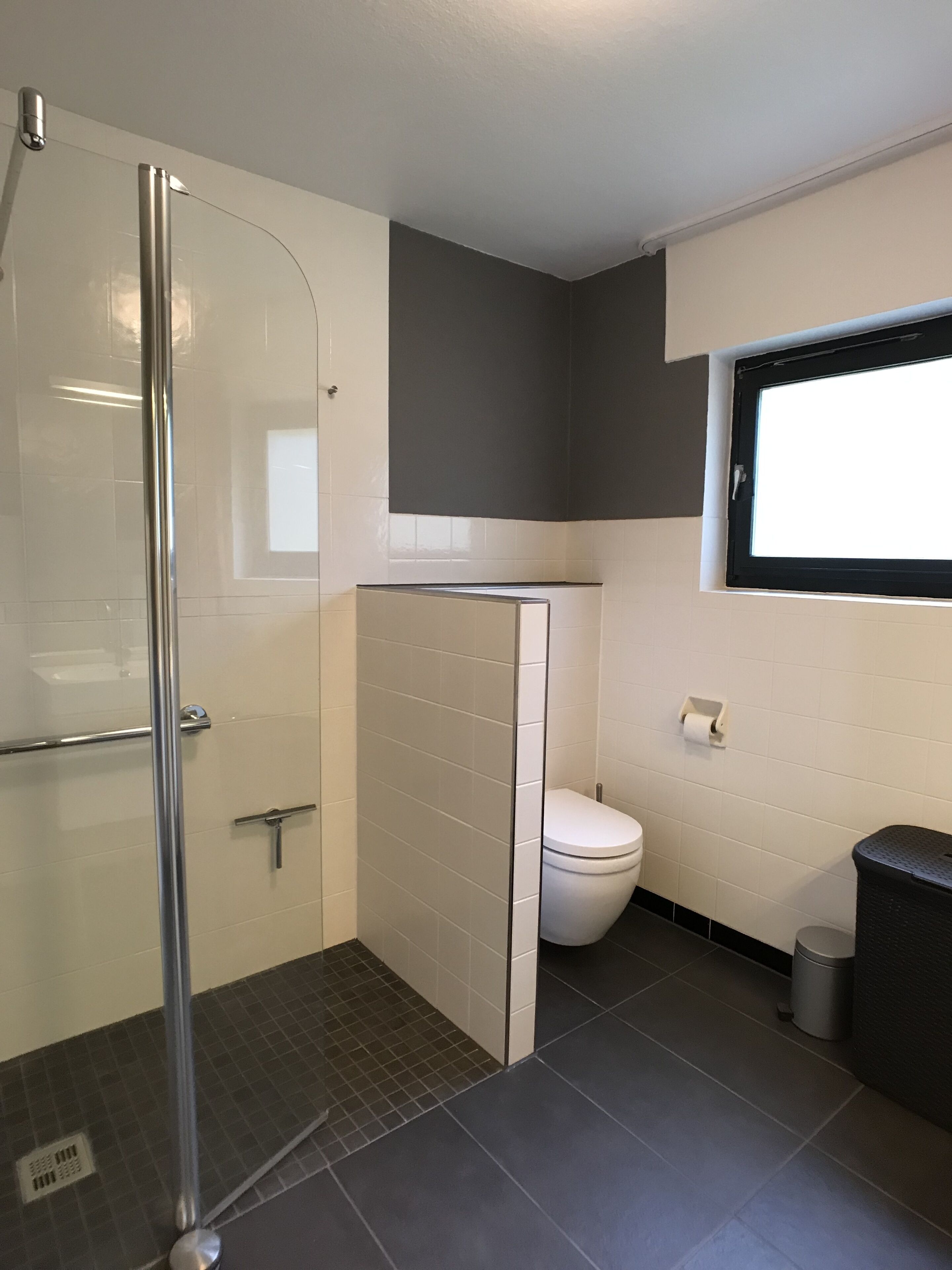 A bathroom with a glass shower enclosure, a toilet, and a trash bin.