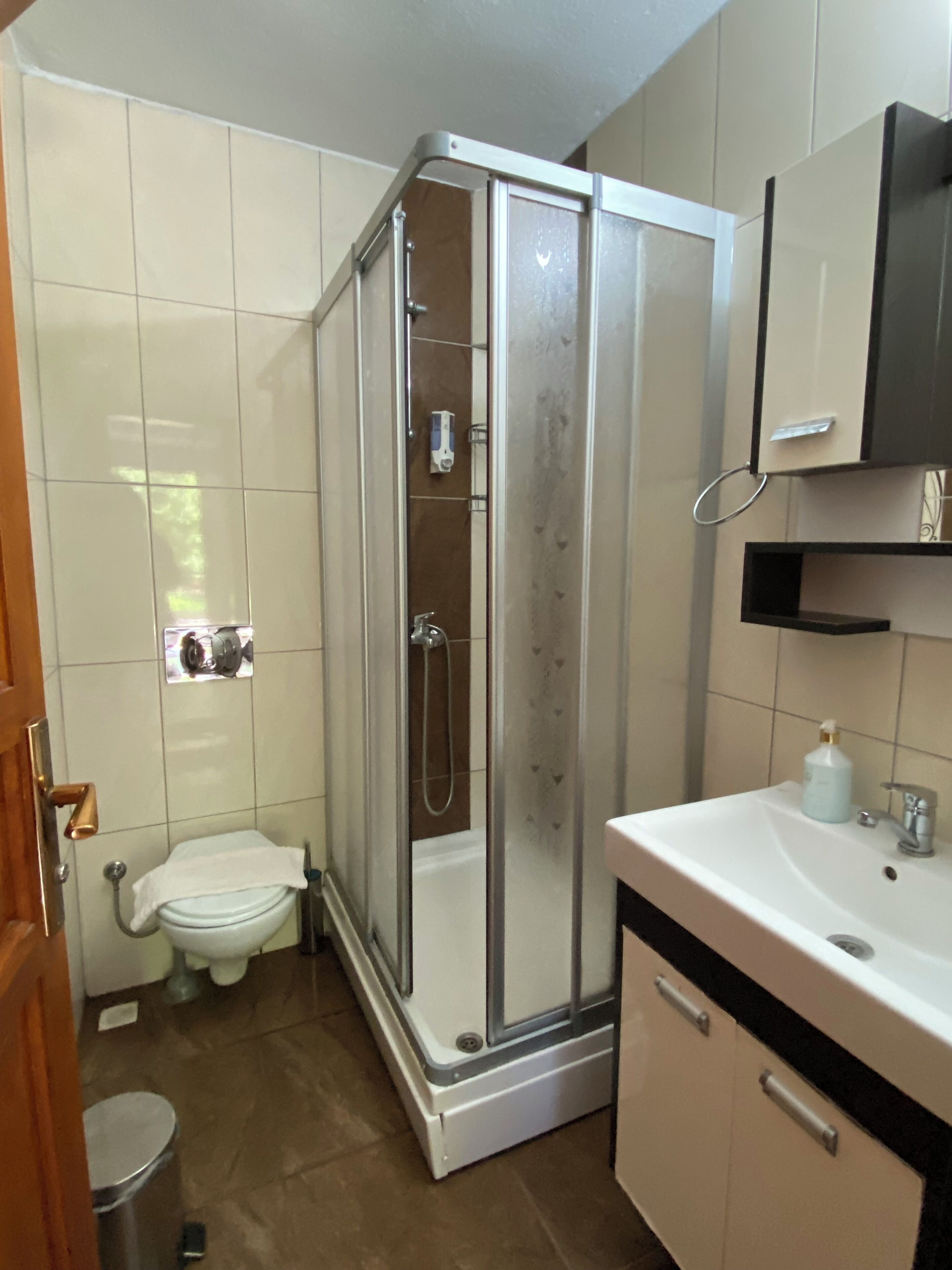 A bathroom with a glass-enclosed shower, a toilet, and a sink with a mirror above.