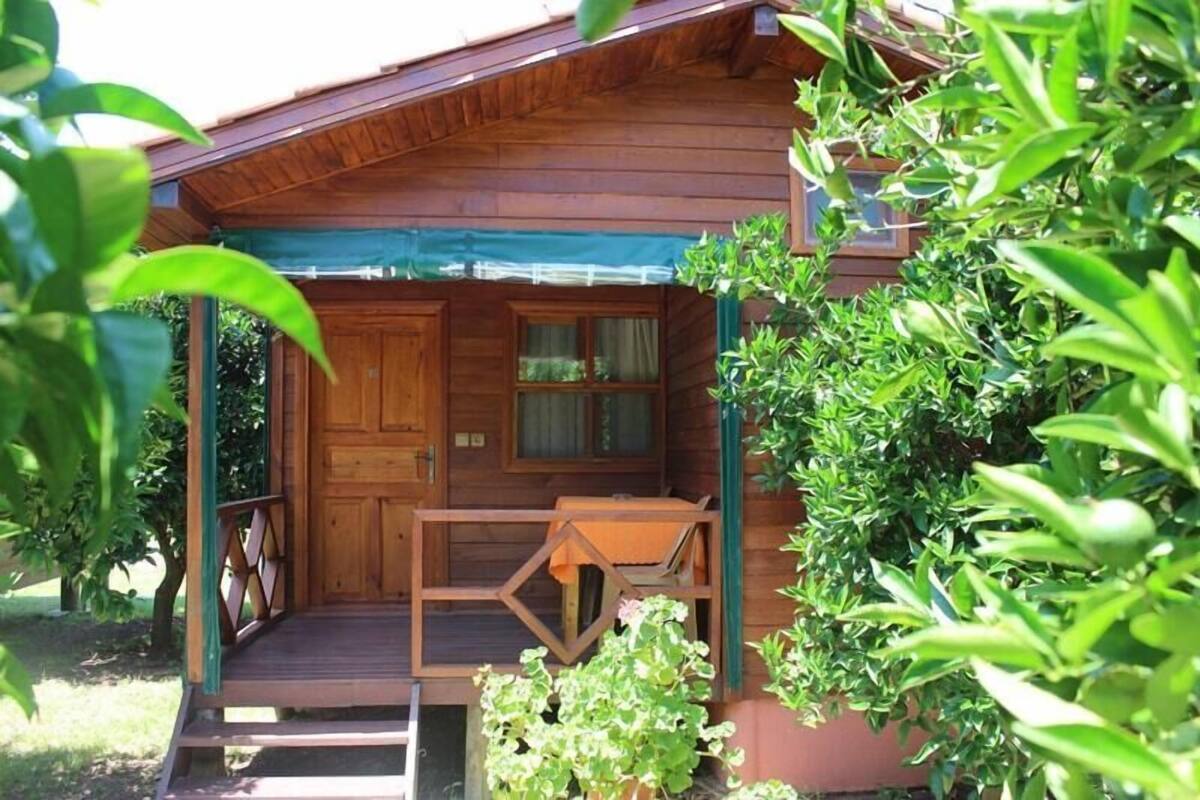 A wooden cabin with a porch, a table, and potted plants.