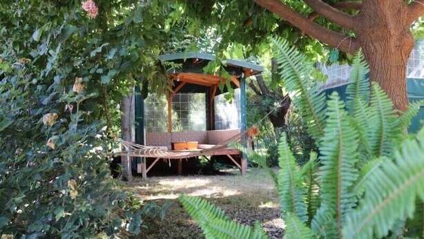 A treehouse with a hammock and a small table, surrounded by dense foliage. - Plaj Hotel (Kemer)