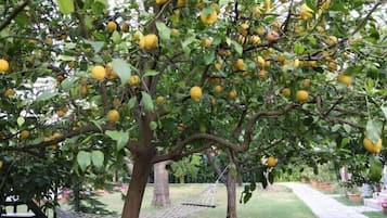 Jardín