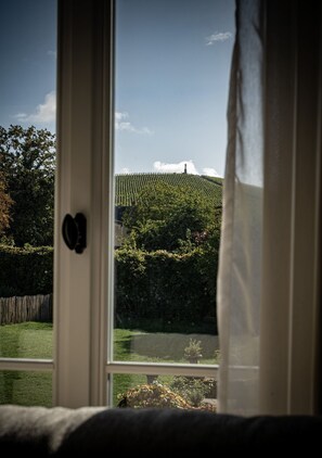 Panoramic Double Room | View from room